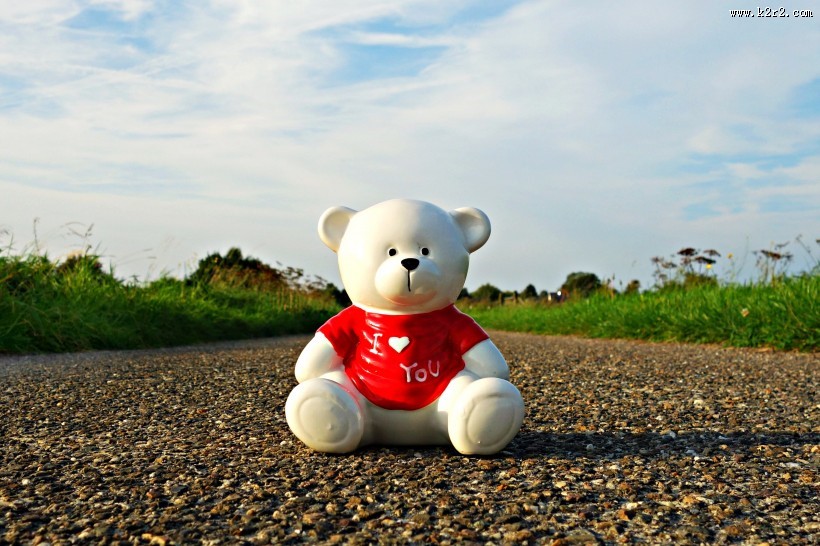 毛绒绒的玩具熊图片大全