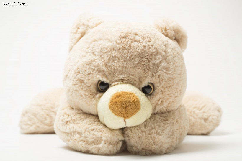 可爱的玩具熊图片大全
