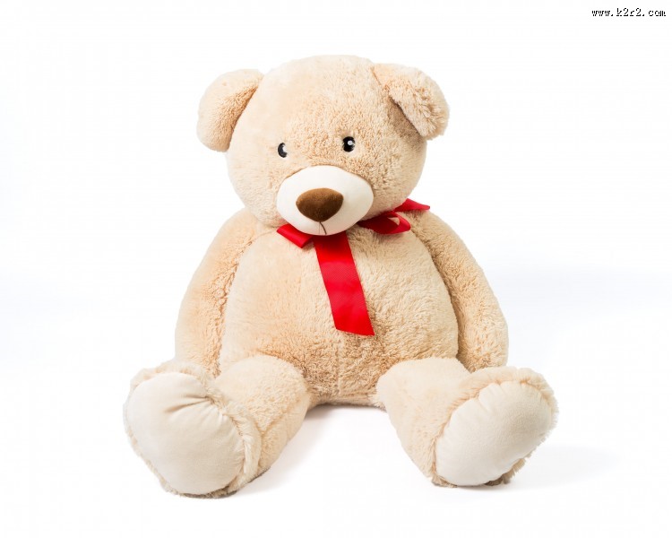 泰迪熊玩具图片