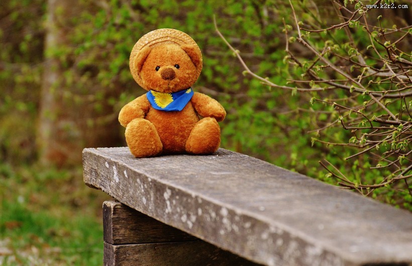 泰迪熊玩具图片