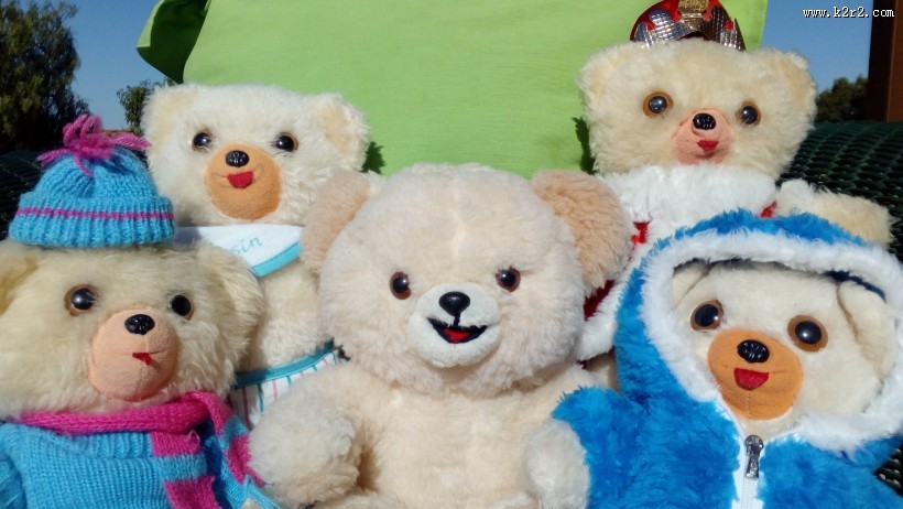 泰迪熊玩具图片