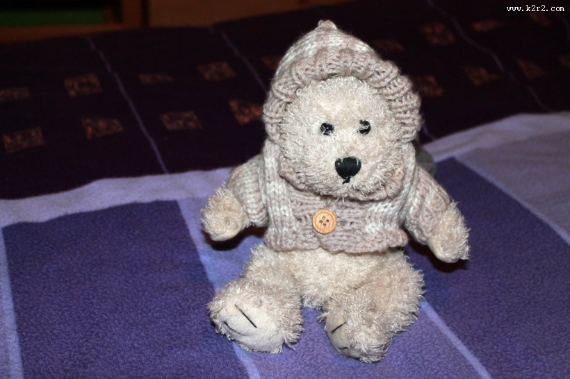 泰迪熊玩具图片