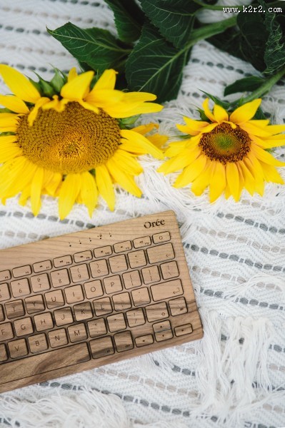 床上的木制键盘和面包的图片