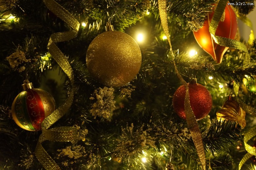 装饰精美的圣诞树图片