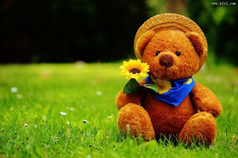 可爱的玩具熊图片大全