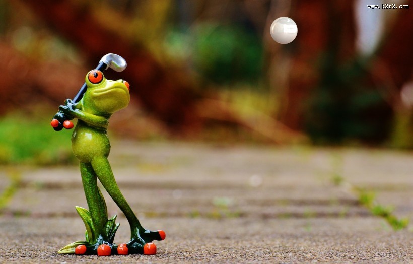 有趣的青蛙摆件图片
