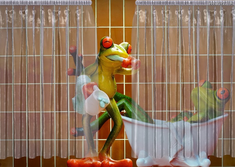 有趣的青蛙情侣摆件图片大全