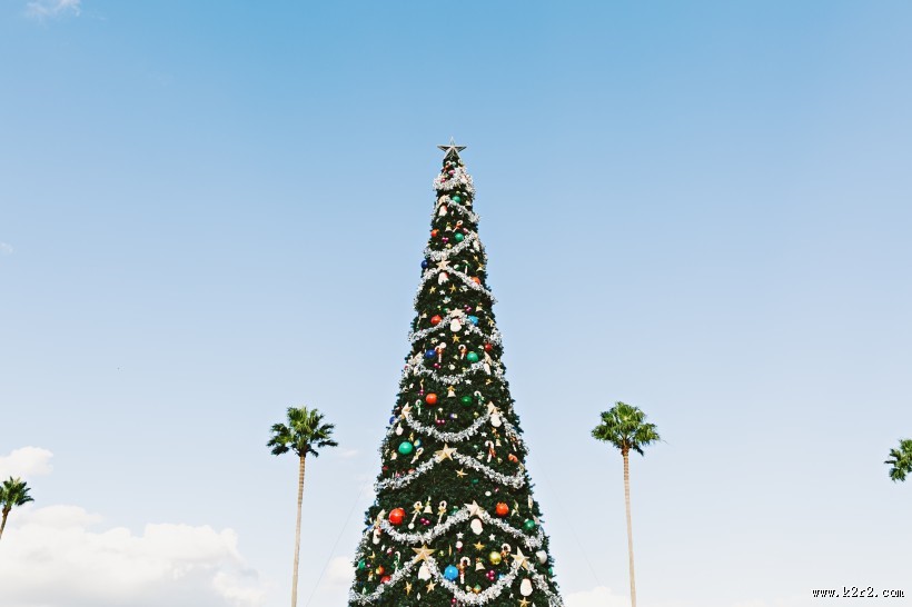 装饰精美的圣诞树图片