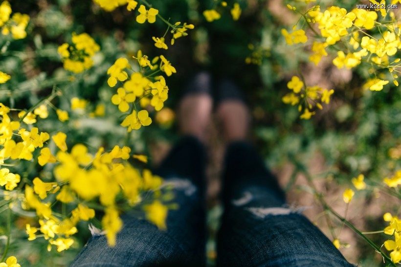 花园里的复古相机图片大全