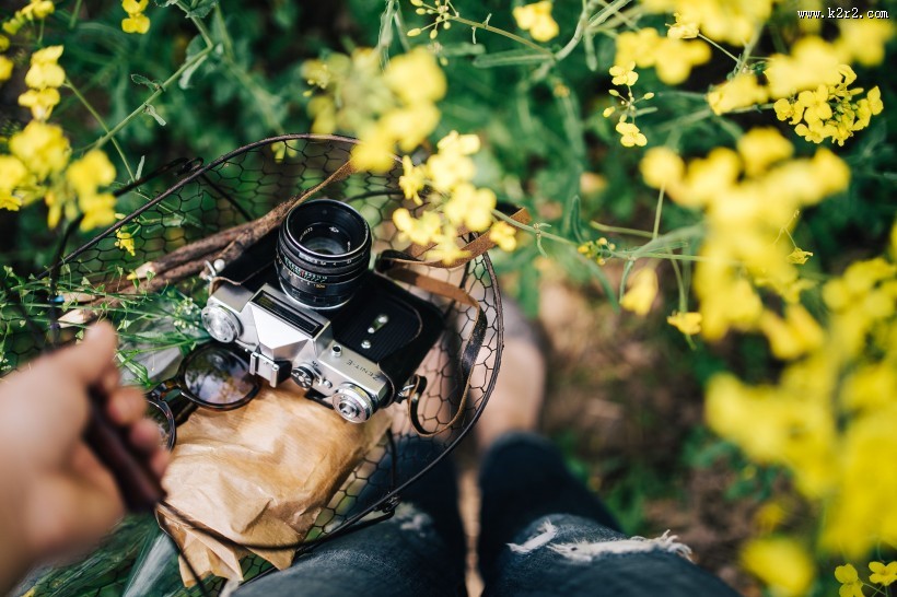 花园里的复古相机图片大全