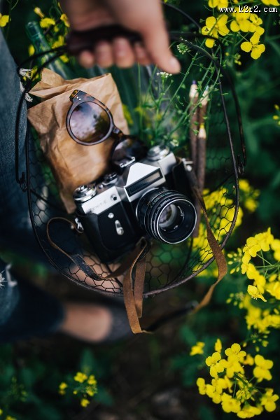 花园里的复古相机图片大全