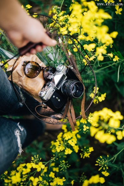 花园里的复古相机图片大全