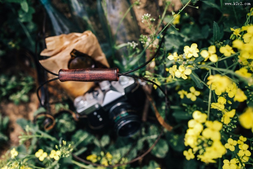 花园里的复古相机图片大全
