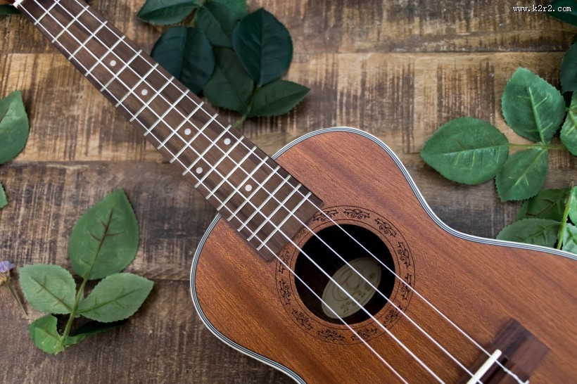 小清新感十足的尤克里里图片大全