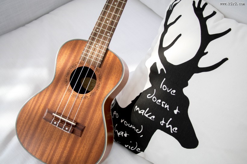 小清新感十足的尤克里里图片大全