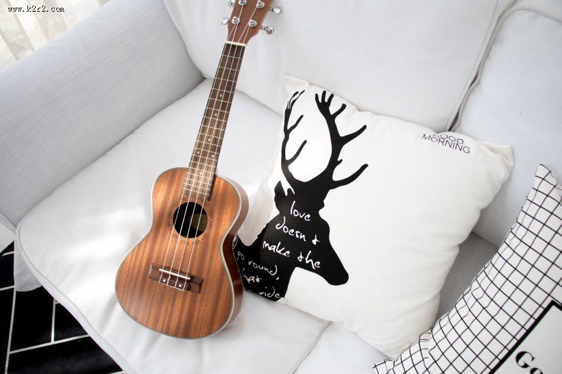 小清新感十足的尤克里里图片大全