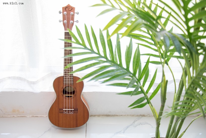 小清新感十足的尤克里里图片大全