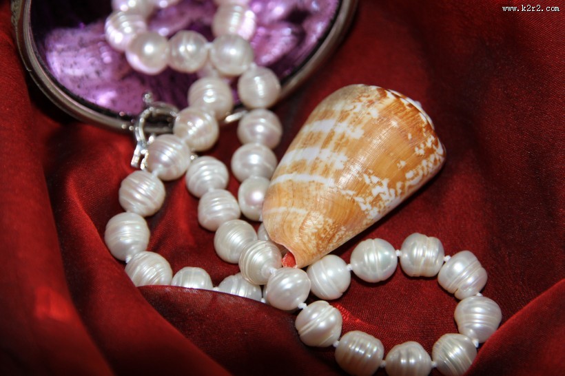 漂亮的珍珠项链图片