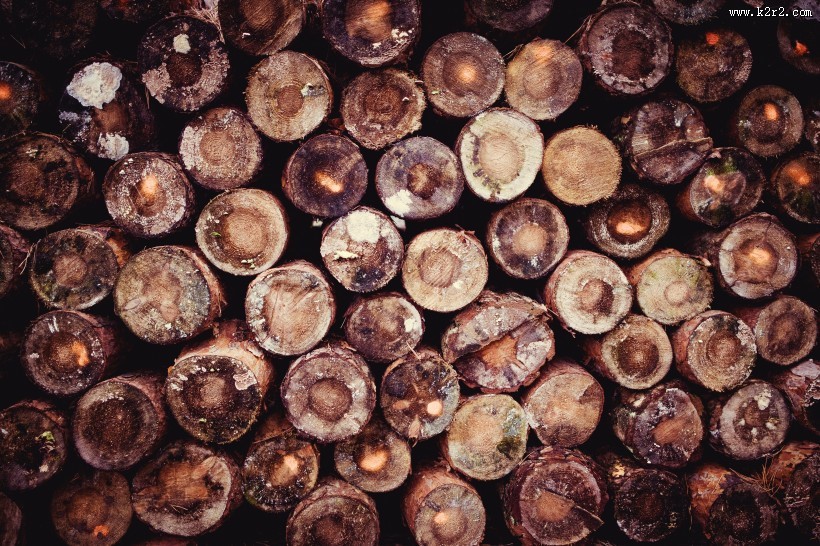 被切割好的木材图片