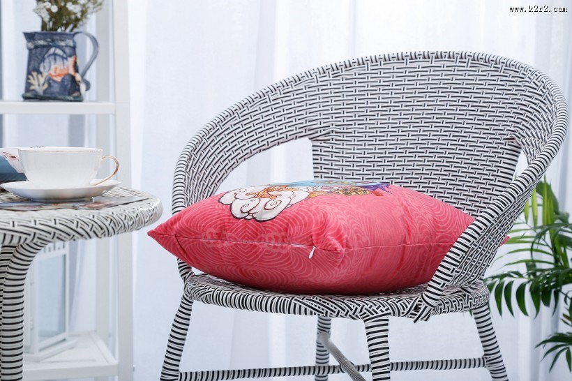 漂亮的卡通抱枕图片