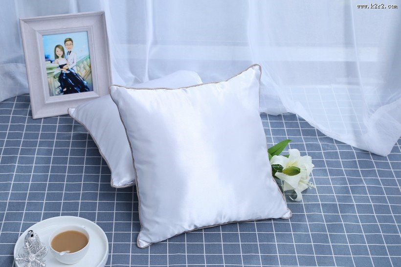 漂亮的丝绸抱枕图片大全