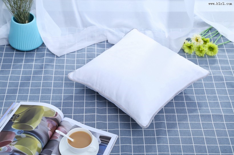 漂亮的丝绸抱枕图片大全