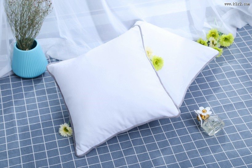 漂亮的丝绸抱枕图片大全
