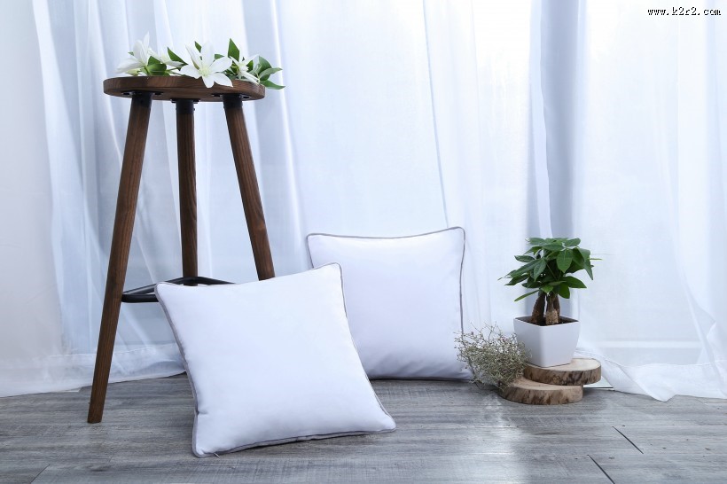 漂亮的丝绸抱枕图片大全