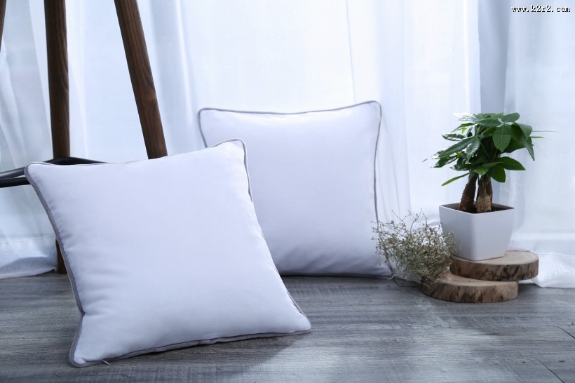 漂亮的丝绸抱枕图片大全