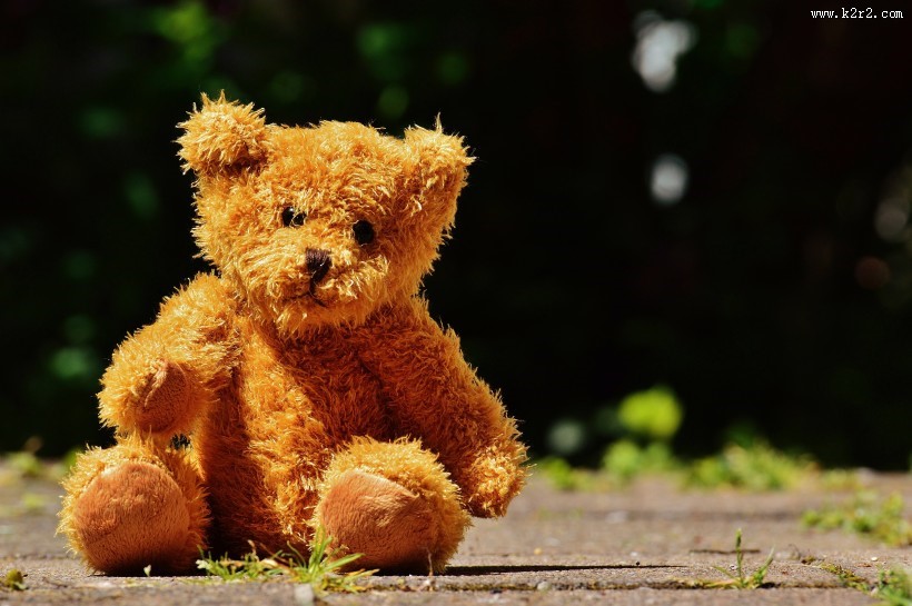 可爱的玩具小熊图片