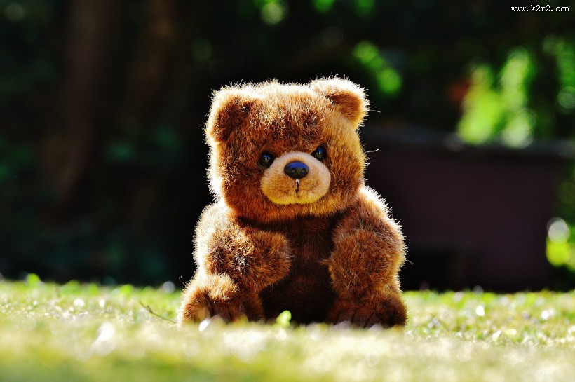 可爱的玩具小熊图片