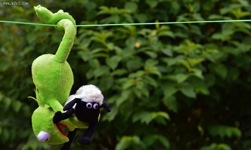 充满童心的毛绒玩具图片大全