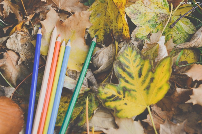 落叶上的彩色铅笔图片