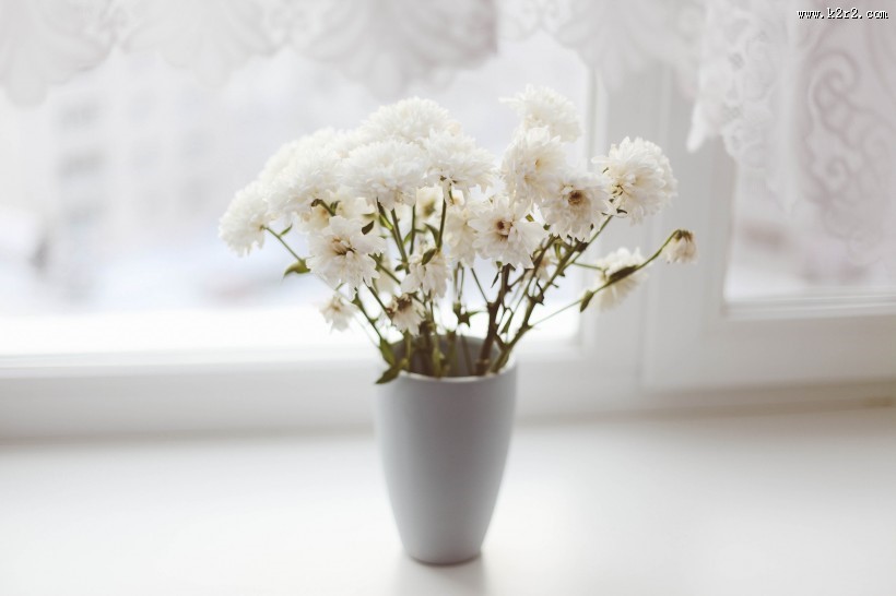 插花的花瓶图片