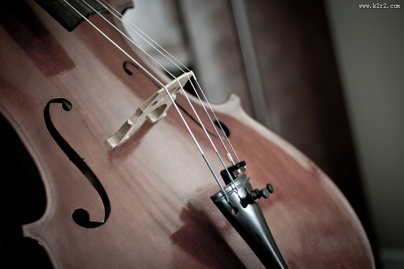 优雅的小提琴图片大全