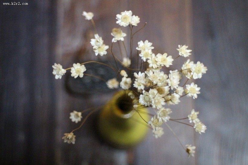 文艺感十足的花瓶图片