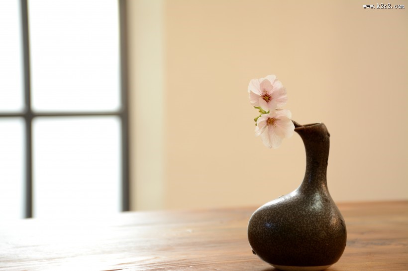 文艺感十足的花瓶图片