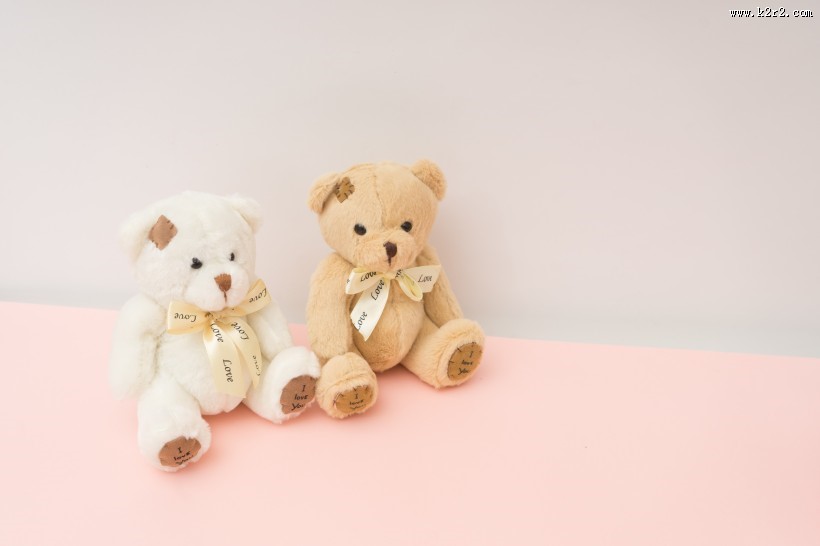 可爱的情人节布偶图片