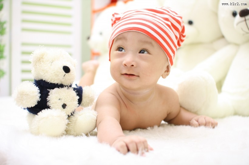 可爱的泰迪熊图片大全