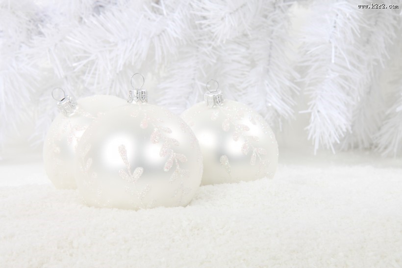 精致的珍珠图片