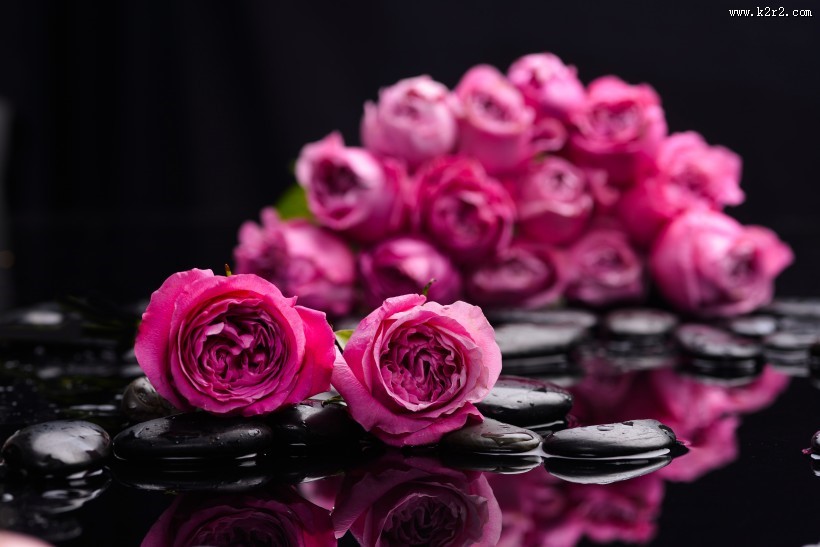 花朵和spa鹅卵石图片