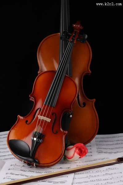 优雅的小提琴图片