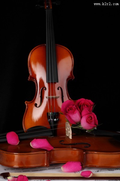 优雅的小提琴图片