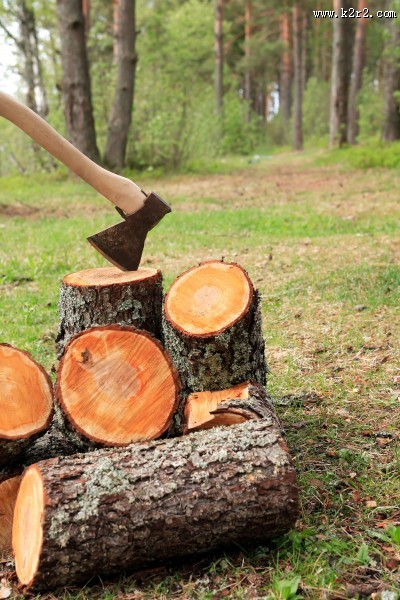 尖利的斧头图片