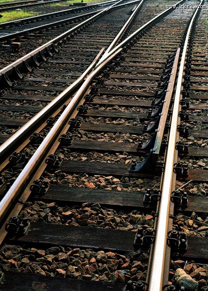 金属的衍生物图片