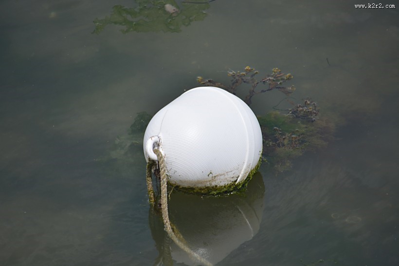 水中的浮标图片