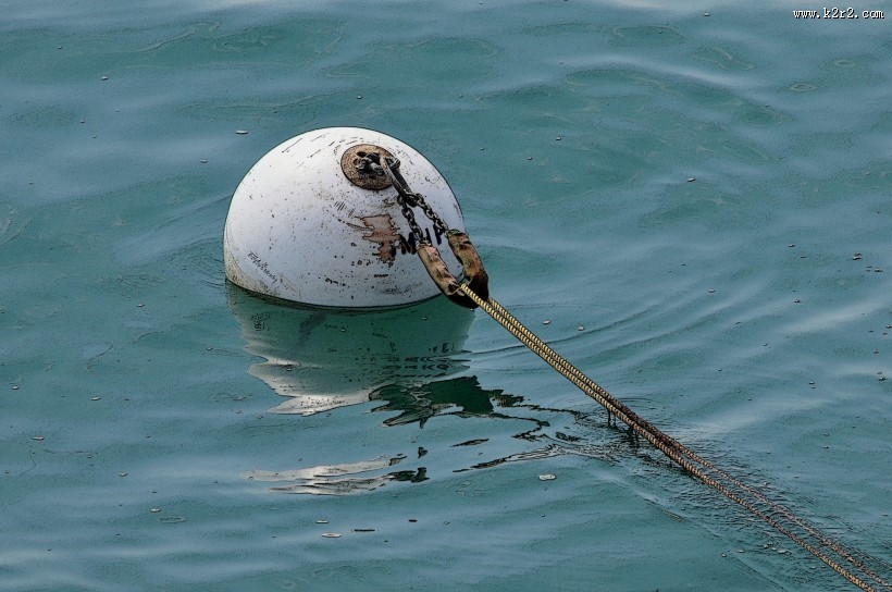 水中的浮标图片