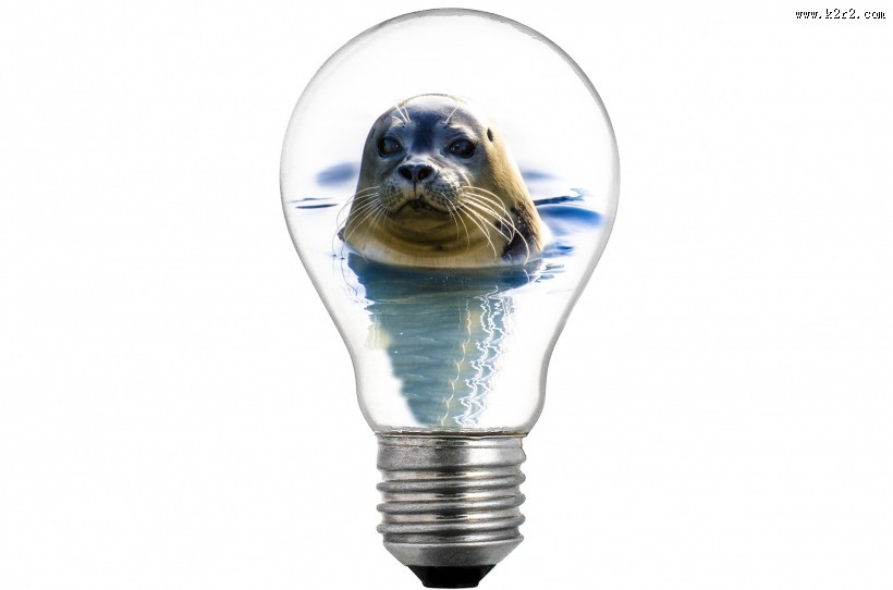 创意灯泡图片大全
