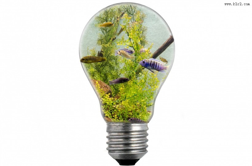 创意灯泡图片大全