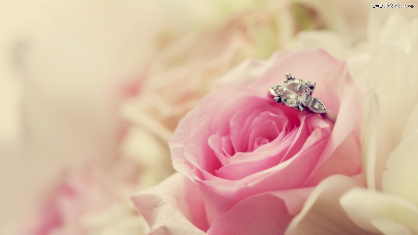 唯美浪漫戒指图片